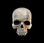 Diablo 4 Flawless Skull